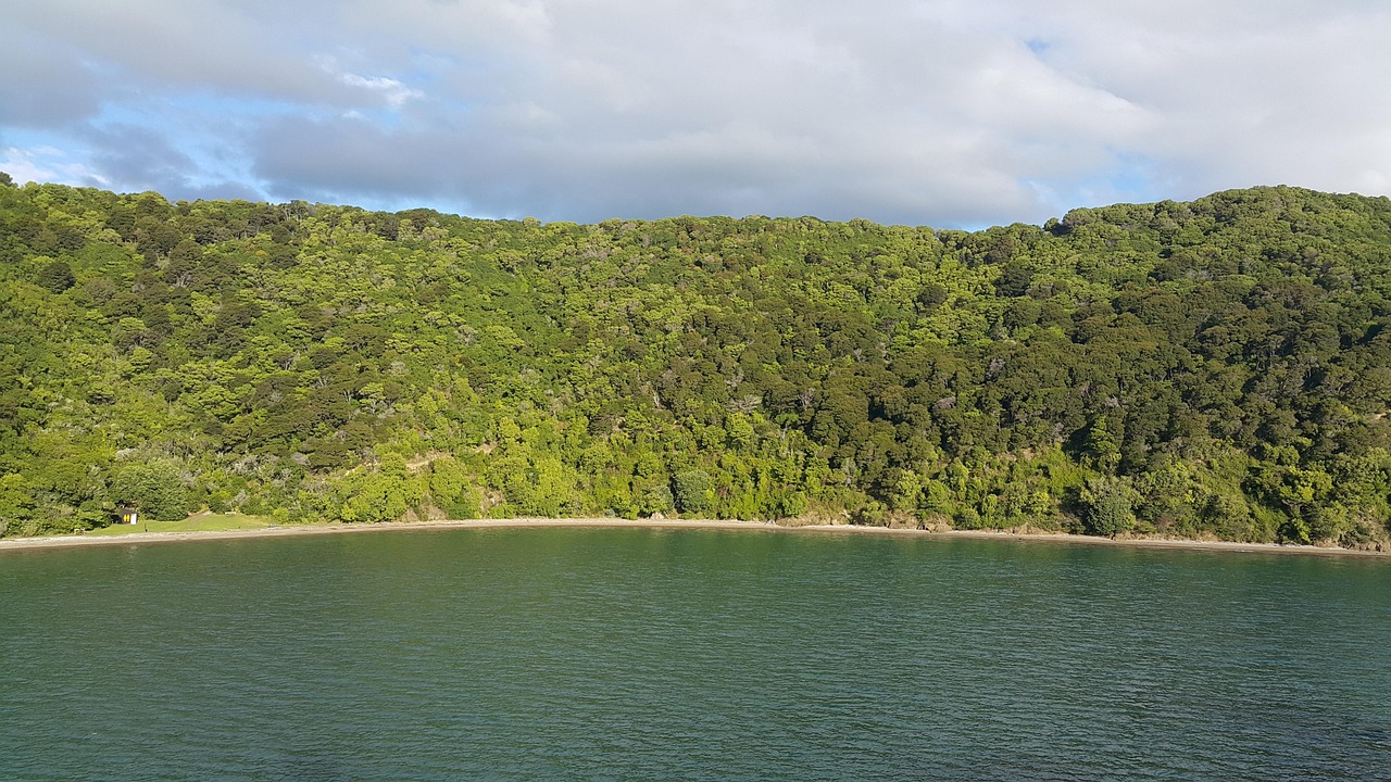 Picton