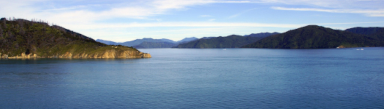 Picton Hintergrundbild